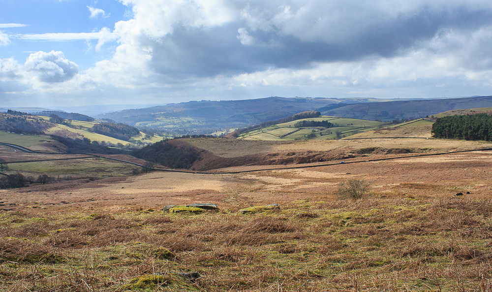 Sheepwash Bank